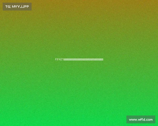 FIFA21中国女足世界杯为核心的传奇赛场荣耀征程回顾与未来展望深度解析